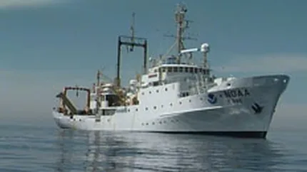 Aker Tulcea isi va schimba denumirea pana in martie