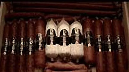 Principal Company estimeaza cresterea afacerilor cu 50% pe 2007