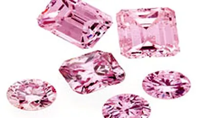 Un diamant roz din Africa de Sud a fost vandut pentru 720.000 euro