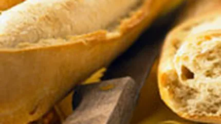 Sapte Spice si-ar putea reduce capitalul cu 1,36 mil. lei, la 15,93 mil. lei