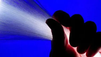 Euroweb Romania estimeaza afaceri de 11,3 mil. euro in 2008