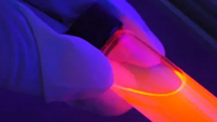 Inchiderea Arpechim a contribuit la pierderile Oltchim de 23 mil. euro in 2007