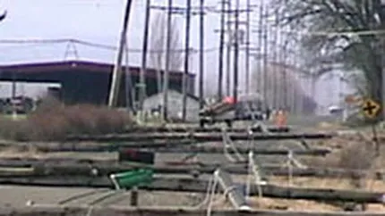 Profitul Transelectrica a scazut de 5,5 ori in 2007, la 13,8 mil. euro