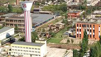 Profitul Sinteza Oradea a scazut de peste 12 ori anul trecut