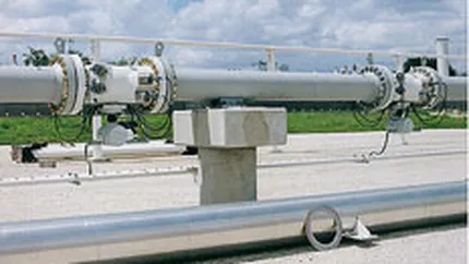 Transgaz mizeaza pe un profit de 270 mil. lei anul acesta, in crestere cu 20%