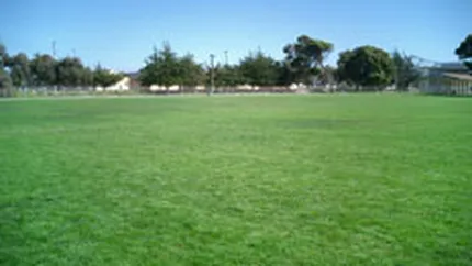 Chimopar va vinde un teren de 70.000 de metri patrati din Bucuresti