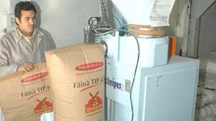 Farinsan Gradistea estimeaza afaceri in crestere cu 28% pe 2008