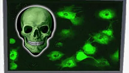 BitDefender: Cei mai periculosi in martie au fost virusii de tip troian