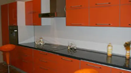 Staer vizeaza afaceri cu mobila in crestere cu 30%, la 40 mil. euro in 2008