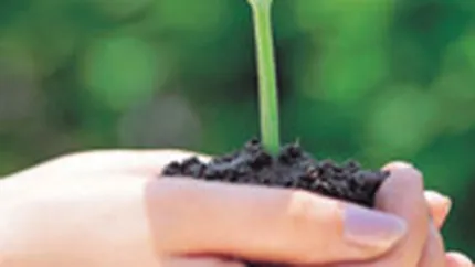 Bio Solaris: Primul magazin de produse ecologice in Bucuresti, cu 50.000 euro