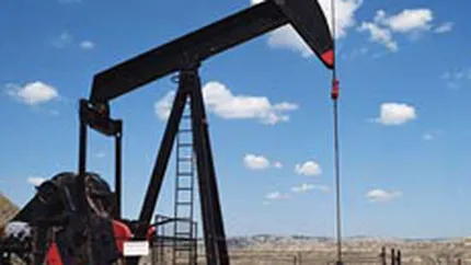 Petrolexportimport estimeaza un profit de 3,33 mil. lei in 2008