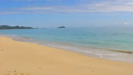 Toate sectoarele de plaja scoase la licitatie au fost inchiriate