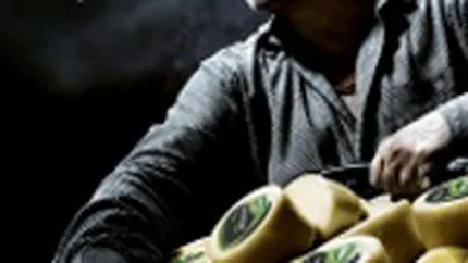 Delaco: buget dublu pentru comunicare in 2008, de 2 mil. euro