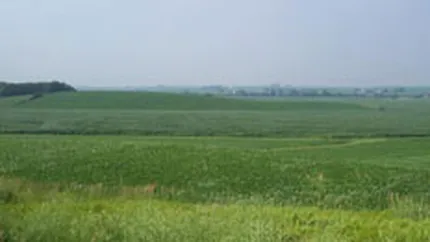 DTZ: Terenurile din estul Capitalei s-au scumpit mult in ultimii 3 ani, dar acum stagneaza