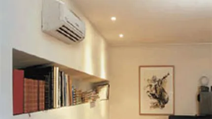 Altex: In 2008 triplam vanzarile de aer conditionat, la 65.000 aparate