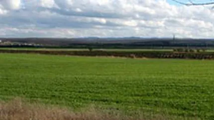 Preturile terenurilor vor stagna in majoritatea zonelor din Capitala in 2008