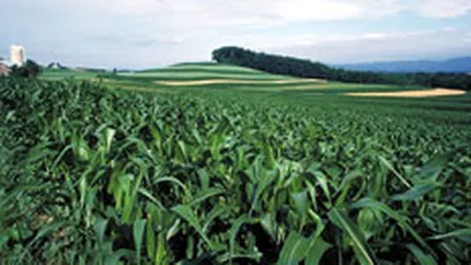 Euro Trading Chemicals si-a lichidat participatia la Amonil pentru 7 mil. euro