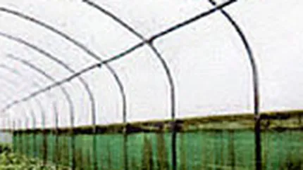 Amonil si Azomures revin in topul lichiditatii BVB, cu preturi in scadere