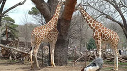 O ordonanta de urgenta protejeaza mediul de speculatiile imobiliare