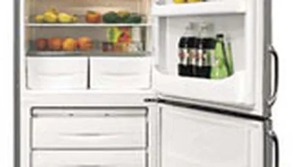 Flamingo: Piata aparatelor frigorifice se va cifra la 144 mil. euro in 2008