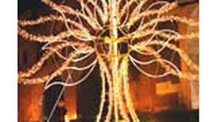 Enel va investi 220 mil. euro in reteaua Electrica Muntenia Sud intre 2009-2011