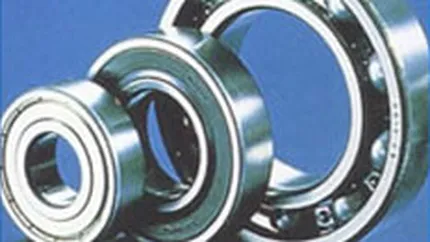 Rulmenti Barlad isi extinde afacerile in India