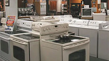 Flamingo: Retailul electric si IT va atinge 250 mil. euro in sezonul de vara