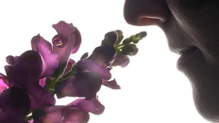 Cinematografele din Marea Britanie vor difuza primele reclame \cu aroma\