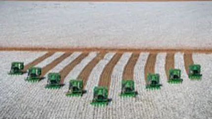 InterAgro vizeaza afaceri de peste 2,2 mld. euro in 2008, in crestere cu 50%