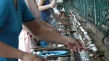 Rata de ocupare a fortei de munca din Romania, printre cele mai scazute din UE