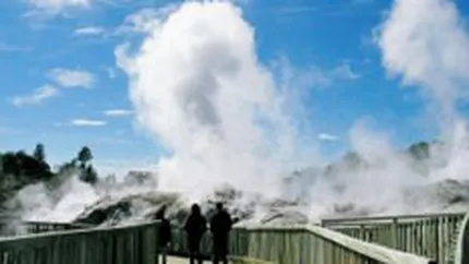 Petrom dezvolta proiecte de energie alternativa de 2,3 mil. euro in 2008-2009