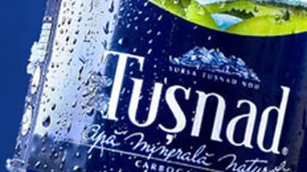 Afaceri in crestere si profit in scadere pentru Apemin Tusnad la 6 luni