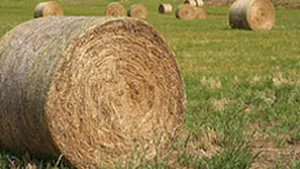 95% din Combavi Buftea s-a transferat miercuri pe Rasdaq pentru 5,95 mil. euro