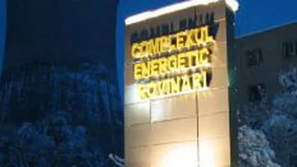 Procesul pierdut cu salariatii a diminuat profitul CE Rovinari cu 38% in S1