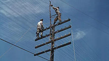 Transelectrica a efectuat investitii de 34 mil. euro in primul semestru