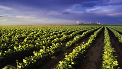 Agricultura este mai interesanta decat specula imobiliara pentru investitorii straini