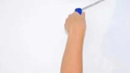 Actionarii Policolor din Cipru vor sa preia integral compania cu 3,9 mil. euro