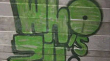 Intact a primit licenta pentru radio-ul ZU, in care va investi 500.000 euro in 2008