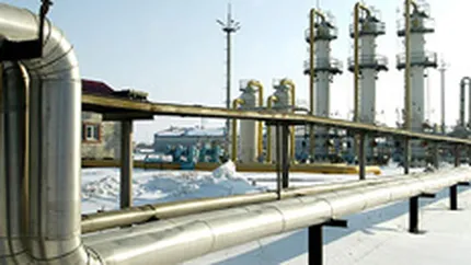 Romgaz vrea sa participe cu 35% la constructia a doua centrale electrice
