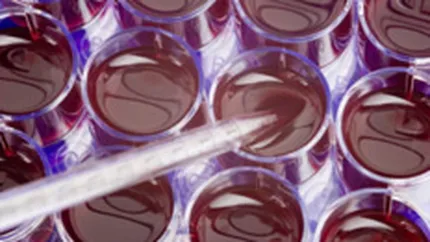 Stem-Health Unirea, prima societate infiintata exclusiv online in Romania