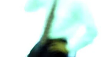 Romtelecom si Cosmote lanseaza o oferta comuna pentru clientii companii