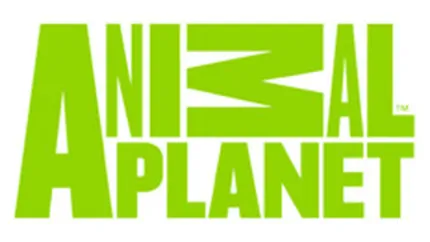 Animal Planet se relanseaza si incepe sa vanda publicitate in Romania
