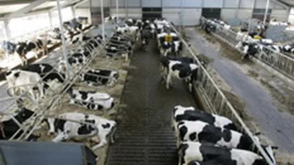 Combavi Buftea si-a schimbat denumirea in Toneli Nutrition Titu