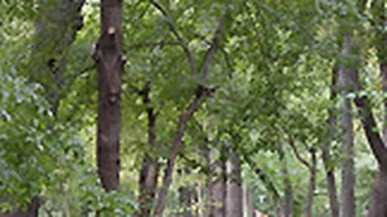 Asociatia MaiMultVerde a strans 124.000 euro pentru proiecte de mediu