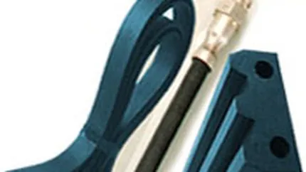 40% din producatorul de articole de cauciuc Arteca s-a vandut cu 970.000 euro