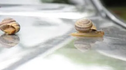 Bursa a stagnat vineri, pe un rulaj in scadere usoara