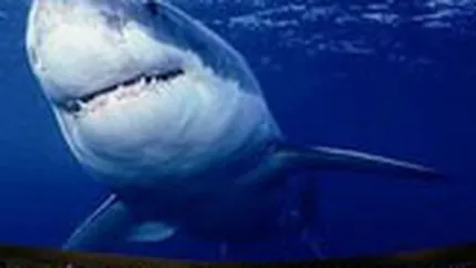 Cinematograful 3D din Liberty Center valoreaza 6 mil. euro