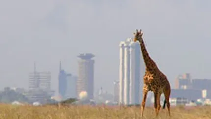 \Efectul Obama\: Numarul turistilor americani in Kenya va creste cu 10-15% in  2009