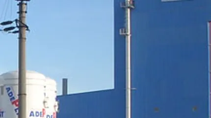 Adeplast si-a dublat capacitatile de productie in 2008, cu 28 mil. euro