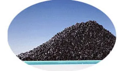 Romcarbon castiga 9 mil. euro si 30% dintr-o firma, in urma unui schimb de terenuri